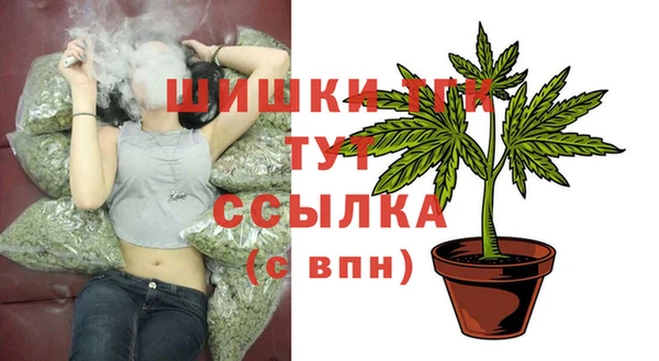 2c-b Алзамай