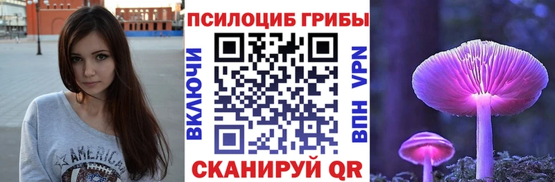 Галлюциногенные грибы Psilocybine cubensis Зверево
