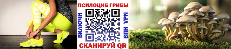 блэк спрут ТОР  Зверево  Псилоцибиновые грибы прущие грибы 